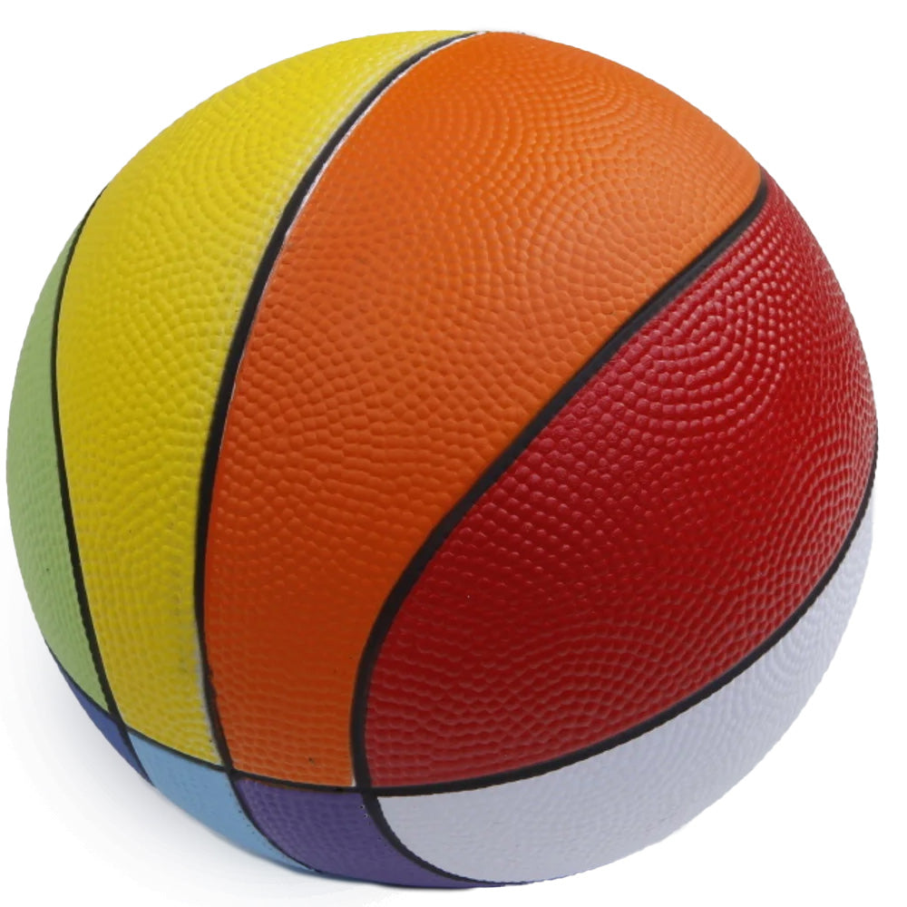 PU-Softball Basketball RAINBOW