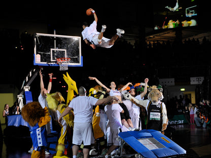 Eurotramp Minitramp "Teamgym"