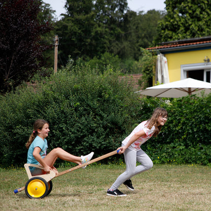 Pedalo-Sulki-Ziehkutsche-Anwendung-2_153136