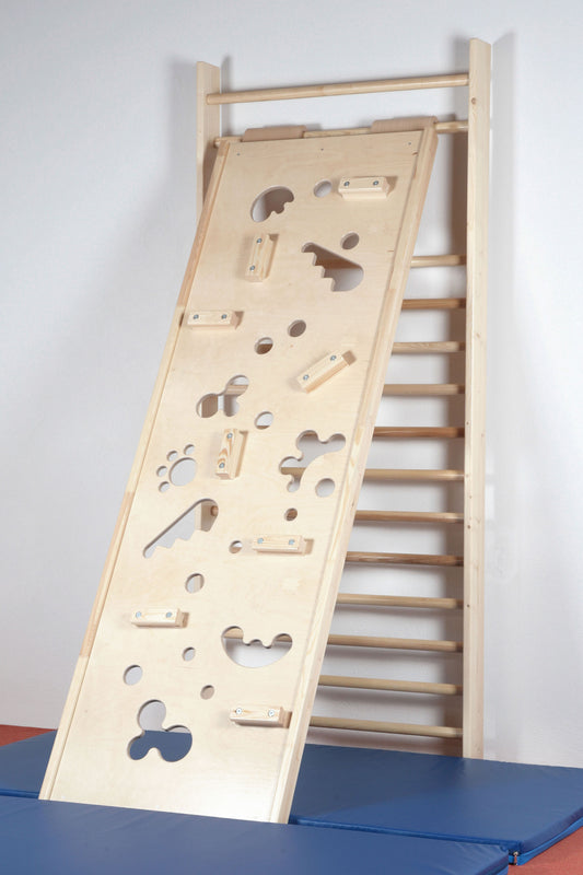 Kletterwand zum Einhängen 230 x 80 cm