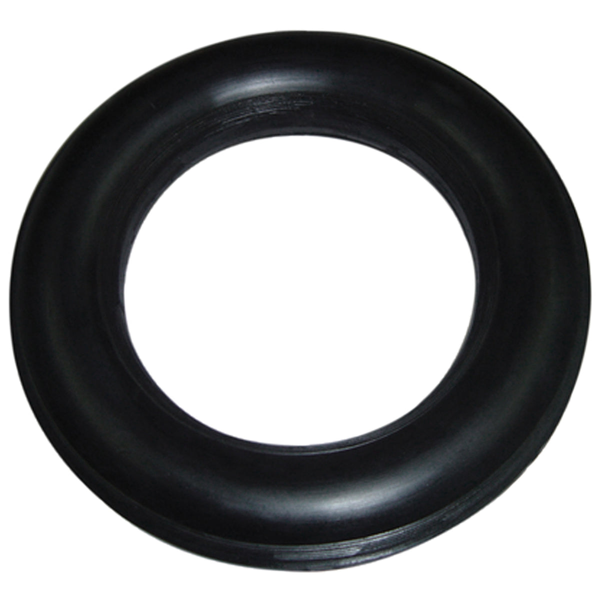 5 kg Tauchring
