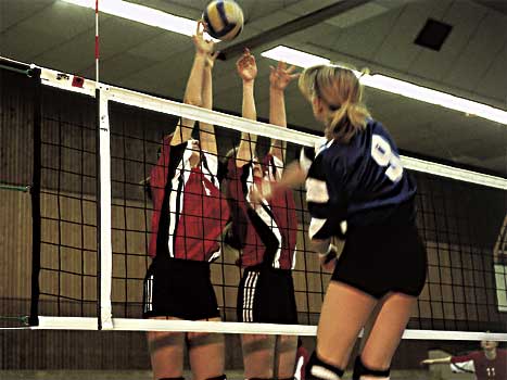 Volleyball-Turniernetz DVV I