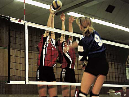Volleyball-Turniernetz DVV I