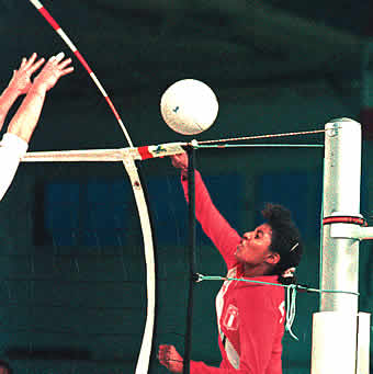 Volleyball-Antennengarnitur