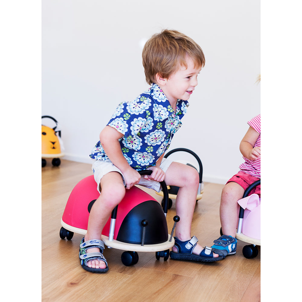 wheely-bug-Marienkaefer-gross-Anwendung_130418