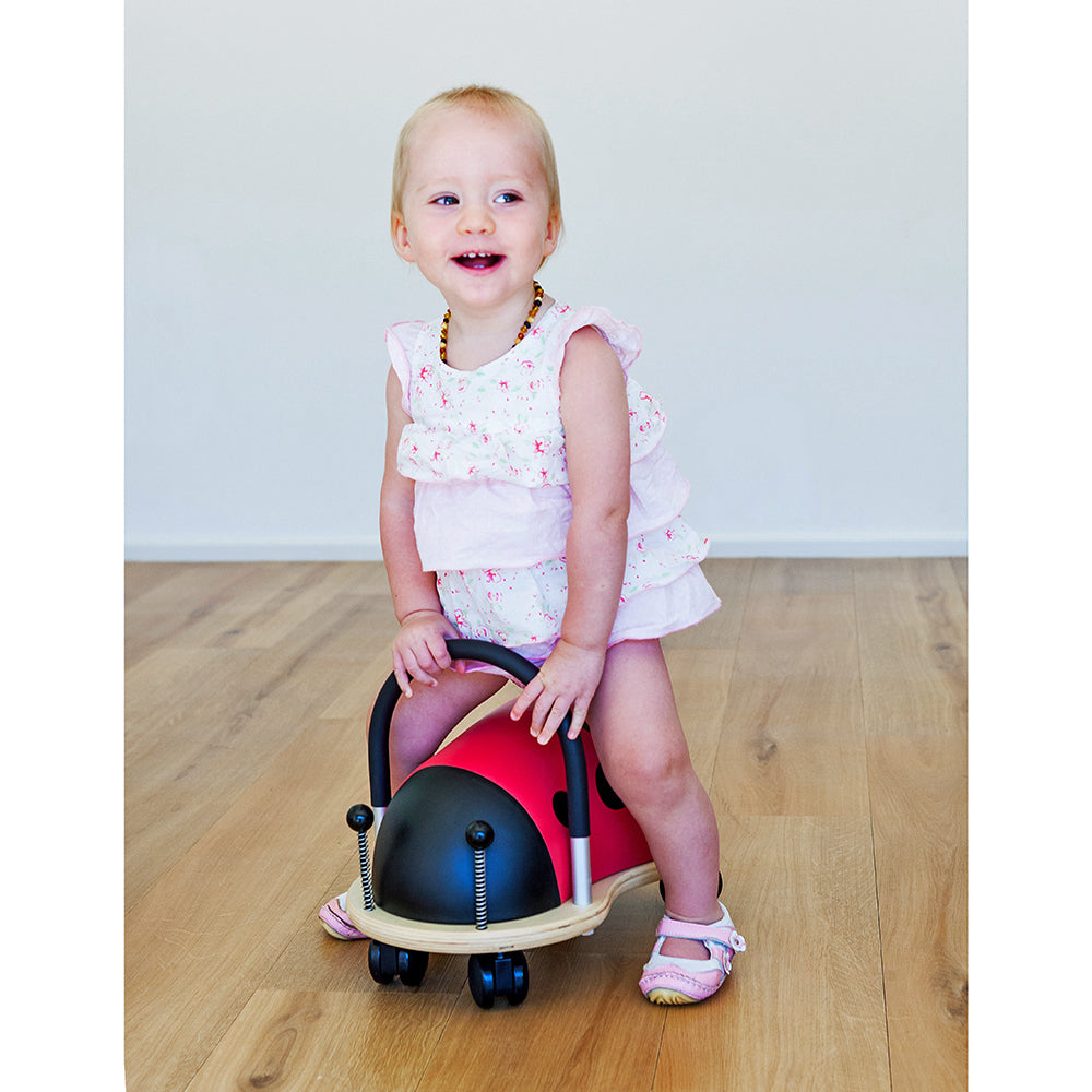 wheely-bug-Marienkaefer-klein-Anwendung_130419