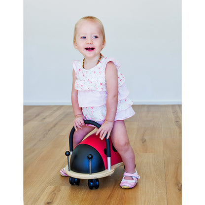 wheely-bug-Marienkaefer-klein-Anwendung_130419