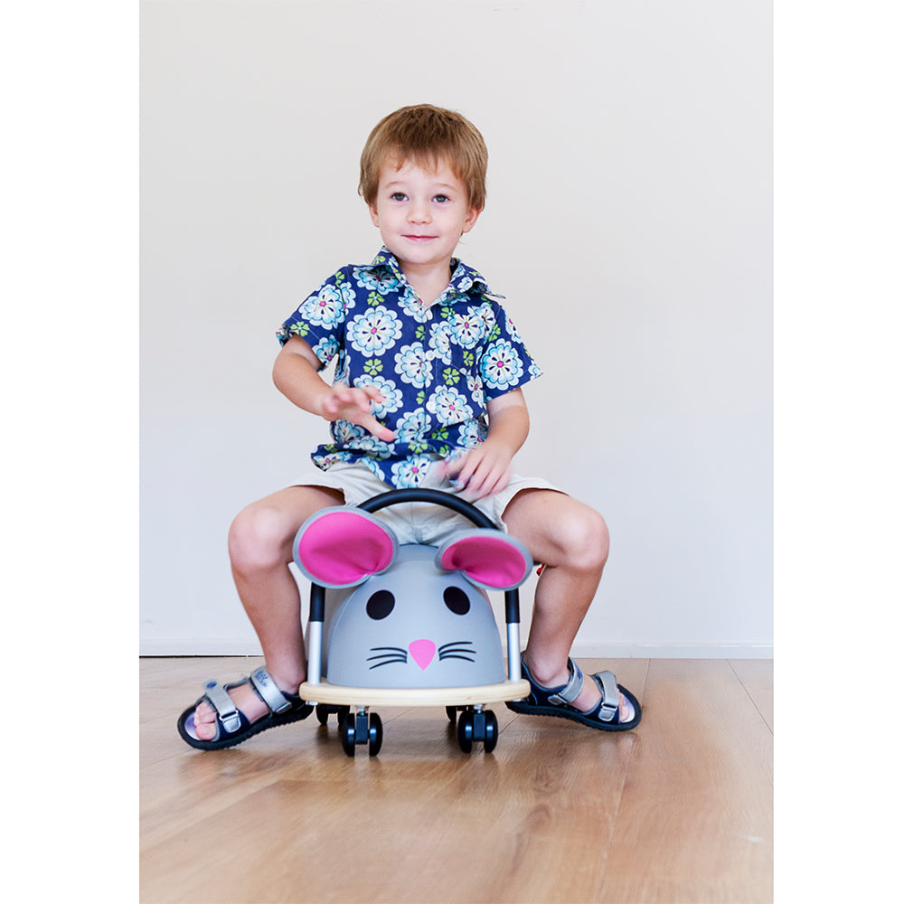 wheely-bug-Maus-gross-Anwendung_130418-03