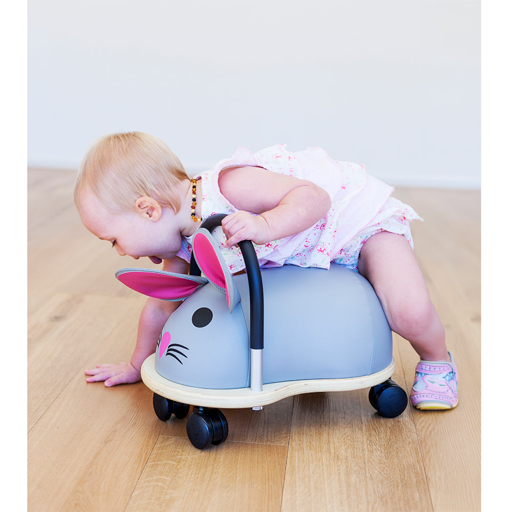 wheely-bug-Maus-klein-Anwendung_130419-03
